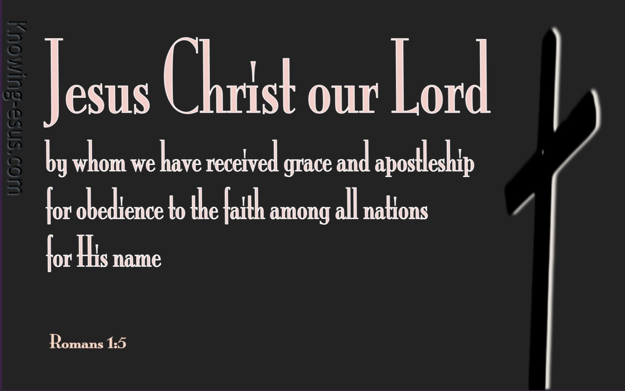 Romans 1:5 By Whom We Received Grace And Apostleship (black)